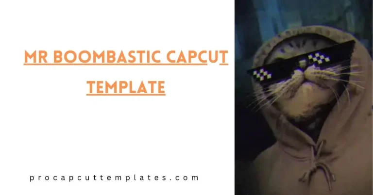 Mr Boombastic CapCut Template