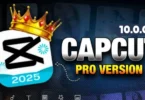 capcut pro version 10.0.0 apk download